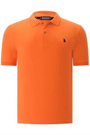 Polo da uomo  dewberry