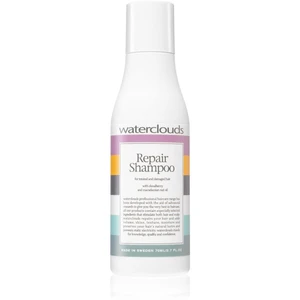 Waterclouds Repair Shampoo regenerační šampon 70 ml