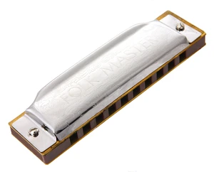 Suzuki Music Folkmaster 10H D Harmonica diatonique