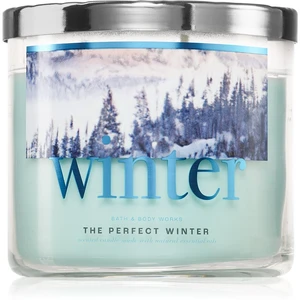 Bath & Body Works The Perfect Winter vonná svíčka 411 g