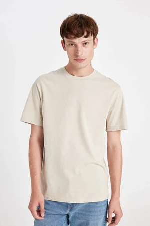 DEFACTO DFC - New Regular Fit Crew Neck Short Sleeve T-Shirt