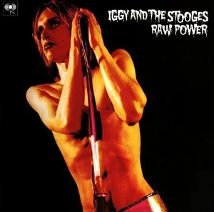 Iggy Pop & The Stooges - Raw Power (2 LP)