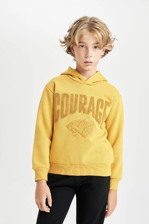 DEFACTO Boy Oversize Wide Pattern Printed Hooded Thick Sweatshirt