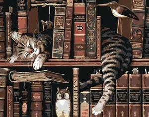 Zuty Pintura de diamantes Cat In The Library