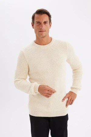 DEFACTO Men's Ecru Standard Fit Regular Cut Crew Neck Textured Knitwear Sweater