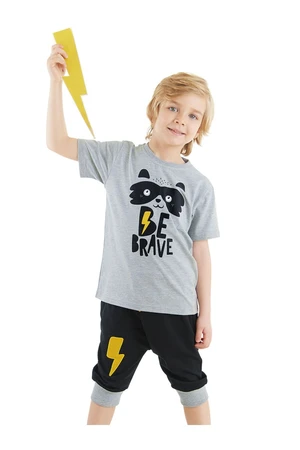 Denokids Raccoon Boy's Summer T-shirt Capri Shorts Set