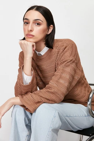 Trendyol Brown Openwork/Hole Knitwear Sweater