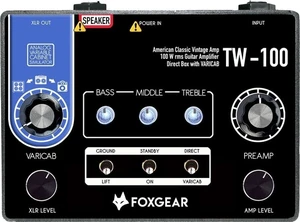 Foxgear TW-100 Ampli guitare