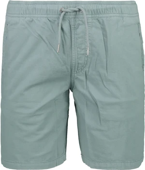 Men's shorts QUIKSILVER BRAINWASHED M