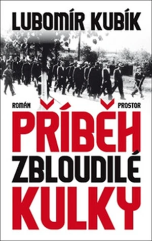 Příběh zbloudilé kulky - Lubomír Kubík