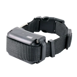 E-Collar BP 504