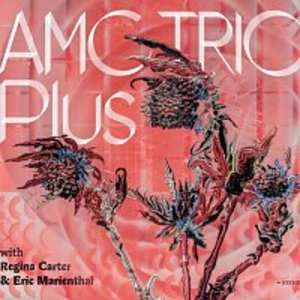 AMC Trio – Plus with Regina Carter & Eric Marienthal CD