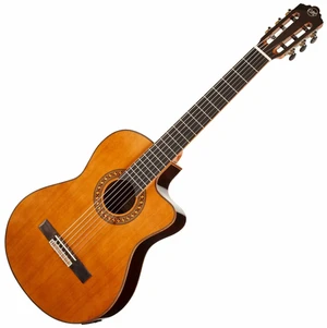 Tanglewood EM DC 5 4/4 Natural Chitară clasică cu preamplificare