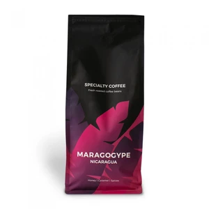 Spezialitätenkaffee „Nicaragua Maragogype“, 1 kg ganze Bohne