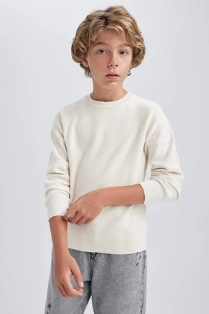 DEFACTO Boy Regular Fit Crew Neck Pullover