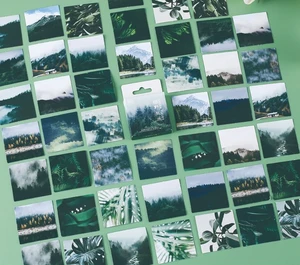 Green forest decorative sticker(1pack)