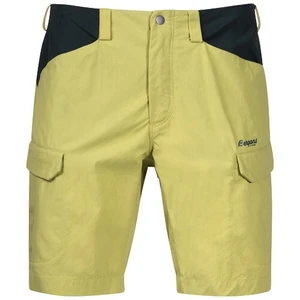 Men's Shorts Bergans Utne Shorts Green