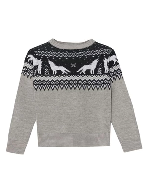 Top Secret BOY'S SWEATER LONG SLEEVE