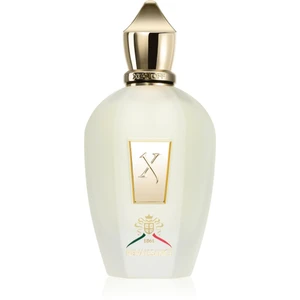 Xerjoff XJ 1861 Renaissance parfémovaná voda unisex 100 ml