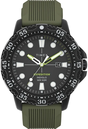 Timex Expedition Gallatin TW4B25400