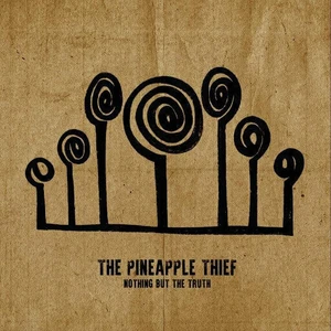 The Pineapple Thief - Nothing But The Truth (2 LP)