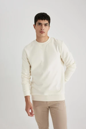 DEFACTO Regular Fit Crew Neck Cotton Basic Sweatshirt