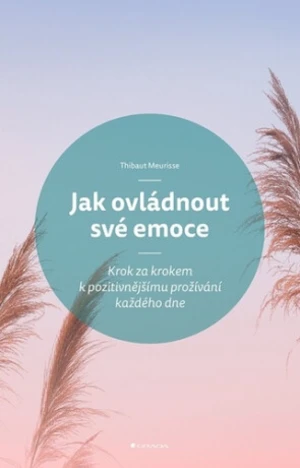 Jak ovládnout své emoce - Krok za krokem k pozitivnějšímu prožívání každého dne - Meurisse Thibaut