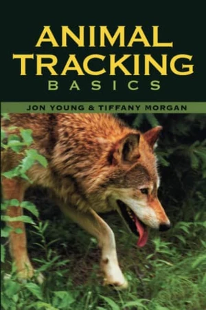 Animal Tracking Basics