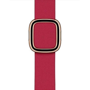 Apple Watch 40mm Raspberry Modern Buckle - Large - PC