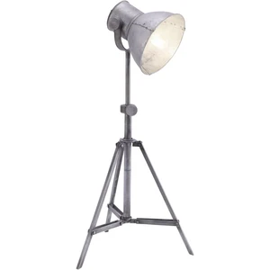 LeuchtenDirekt SAMIA 11491-77 stojanová lampa  E27   železo