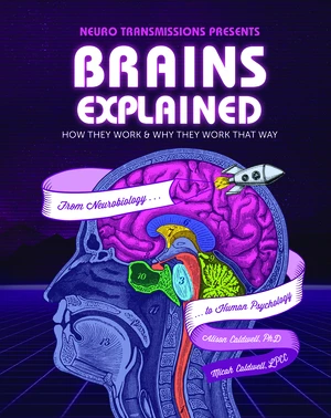 Brains Explained