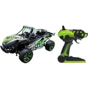 RC model auta Buggy Amewi Extreme D5 22211, 1:18