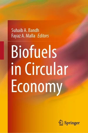 Biofuels in Circular Economy