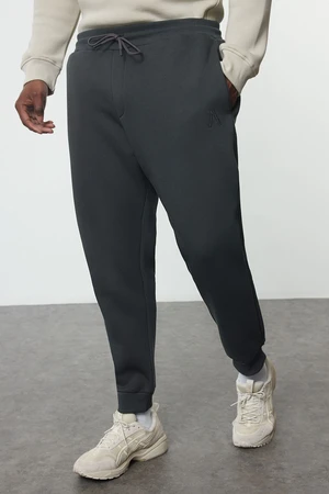 Trendyol Anthracite Regular/Normal Cut Basic Plus Size Sweatpants