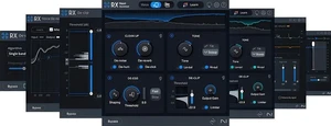 iZotope RX 11 Elements (Producto digital)