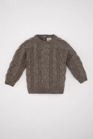 DEFACTO Baby Boy Crew Neck Knitwear Sweater