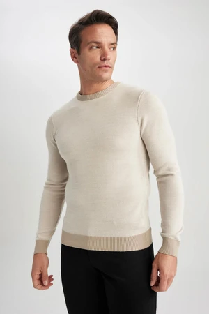 DEFACTO Standard Fit Crew Neck Sweater