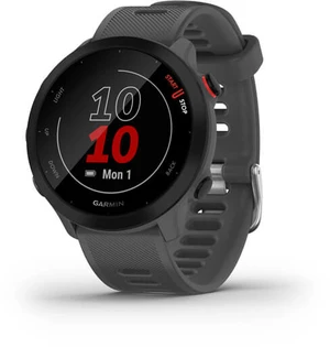 Garmin Forerunner 55 Grey 010-02562-13