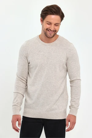 Lafaba Men's Beige Crew Neck Basic Knitwear Sweater