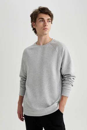 DEFACTO Regular Fit Long Sleeve Sweatshirt