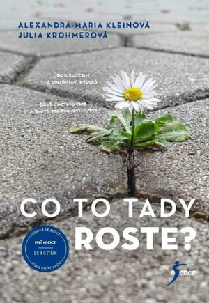 Co to tady roste? - Alexandra-Maria Kleinová, Julia Krohmerová