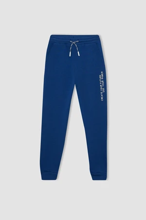 DEFACTO Regular Fit Pants