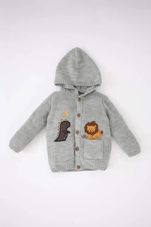 DEFACTO Baby Boy 3D Hooded Knitwear Cardigan