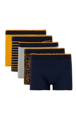 DEFACTO Flexible Fabric Standard Pattern 5 Pack Boxer U7320AZNS