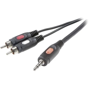 SpeaKa Professional SP-7869792 cinch / jack audio prepojovací kábel [2x cinch zástrčka - 1x jack zástrčka 3,5 mm] 10.00