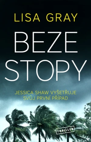 Beze stopy - Lisa Gray - e-kniha