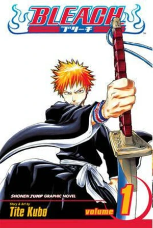 Bleach 1 (anglicky) - Tite Kubo