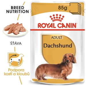 Royal Canin Dog Dachshund - 85g