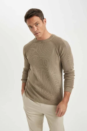 DEFACTO Men's Beige Standard Fit Regular Cut Crew Neck Warm Sweater