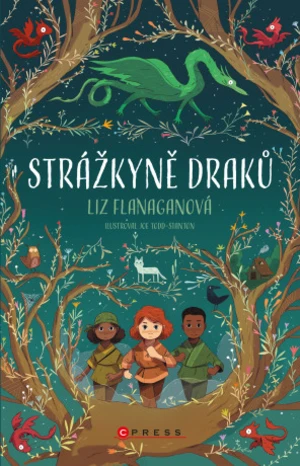 Strážkyně draků - Liz Flanaganová - e-kniha